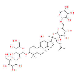 ChemSpider 2D Image | 12-Hydroxy-20-[(6-O-pentopyranosylhexopyranosyl)oxy]dammar-24-en-3-yl 2-O-hexopyranosylhexopyranoside | C53H90O22