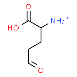 ChemSpider 2D Image | 1-Carboxy-4-oxo-1-butanaminium | C5H10NO3