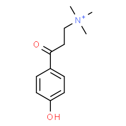 ChemSpider 2D Image | 3-(4-Hydroxyphenyl)-N,N,N-trimethyl-3-oxo-1-propanaminium | C12H18NO2