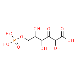 ChemSpider 2D Image | 6-O-Phosphonohex-3-ulosonic acid | C6H11O10P