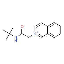 ChemSpider 2D Image | 2-{2-[(2-Methyl-2-propanyl)amino]-2-oxoethyl}isoquinolinium | C15H19N2O