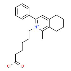 ChemSpider 2D Image | 6-(1-Methyl-3-phenyl-5,6,7,8-tetrahydro-2-isoquinoliniumyl)hexanoate | C22H27NO2