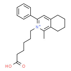 ChemSpider 2D Image | 2-(5-Carboxypentyl)-1-methyl-3-phenyl-5,6,7,8-tetrahydroisoquinolinium | C22H28NO2
