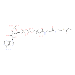 ChemSpider 2D Image | S-{1-[(2R,3S,4R,5R)-5-(6-Amino-9H-purin-9-yl)-4-hydroxy-3-(phosphonooxy)tetrahydro-2-furanyl]-3,5,9-trihydroxy-8,8-dimethyl-3,5-dioxido-10,14-dioxo-2,4,6-trioxa-11,15-diaza-3lambda~5~,5lambda~5~-dipho
sphaheptadecan-17-yl} propanethioate | C24H40N7O17P3S