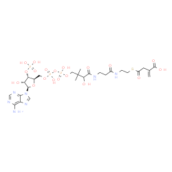 ChemSpider 2D Image | 1-[(2R,3S,4R,5R)-5-(6-Amino-9H-purin-9-yl)-4-hydroxy-3-(phosphonooxy)tetrahydro-2-furanyl]-3,5,9-trihydroxy-8,8-dimethyl-21-methylene-10,14,19-trioxo-2,4,6-trioxa-18-thia-11,15-diaza-3,5-diphosphadoco
san-22-oic acid 3,5-dioxide | C26H40N7O19P3S
