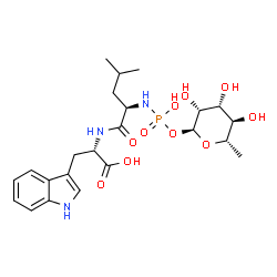 ChemSpider 2D Image | (2S)-2-({(2R)-2-[(Hydroxy{[(2S,3R,4R,5R,6S)-3,4,5-trihydroxy-6-methyltetrahydro-2H-pyran-2-yl]oxy}phosphoryl)amino]-4-methylpentanoyl}amino)-3-(1H-indol-3-yl)propanoic acid | C23H34N3O10P