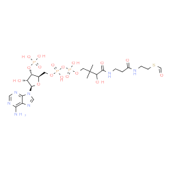 ChemSpider 2D Image | S-{1-[(2R,3S,4R,5R)-5-(6-Amino-9H-purin-9-yl)-4-hydroxy-3-(phosphonooxy)tetrahydro-2-furanyl]-3,5,9-trihydroxy-8,8-dimethyl-3,5-dioxido-10,14-dioxo-2,4,6-trioxa-11,15-diaza-3lambda~5~,5lambda~5~-dipho
sphaheptadecan-17-yl} thioformate | C22H36N7O17P3S