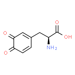 ChemSpider 2D Image | L-dopaquinone | C9H9NO4
