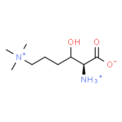 ChemSpider 2D Image | (3xi)-2-Ammonio-2,4,5,6-tetradeoxy-6-(trimethylammonio)-L-glycero-hexonate | C9H21N2O3
