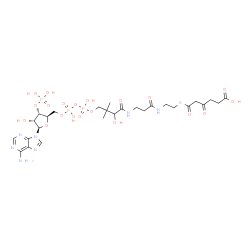 ChemSpider 2D Image | 1-[(2R,3S,4R,5R)-5-(6-Amino-9H-purin-9-yl)-4-hydroxy-3-(phosphonooxy)tetrahydro-2-furanyl]-3,5,9-trihydroxy-8,8-dimethyl-10,14,19,21-tetraoxo-2,4,6-trioxa-18-thia-11,15-diaza-3,5-diphosphatetracosan-2
4-oic acid 3,5-dioxide | C27H42N7O20P3S