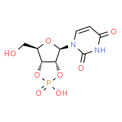 ChemSpider 2D Image | 2',3'-Cyclic UMP | C9H11N2O8P