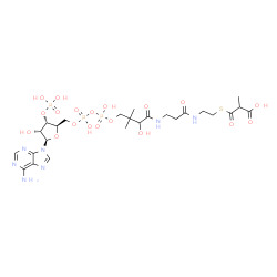 ChemSpider 2D Image | 1-[(2R,3S,4R,5R)-5-(6-Amino-9H-purin-9-yl)-4-hydroxy-3-(phosphonooxy)tetrahydro-2-furanyl]-3,5,9-trihydroxy-8,8,20-trimethyl-10,14,19-trioxo-2,4,6-trioxa-18-thia-11,15-diaza-3,5-diphosphahenicosan-21-
oic acid 3,5-dioxide | C25H40N7O19P3S