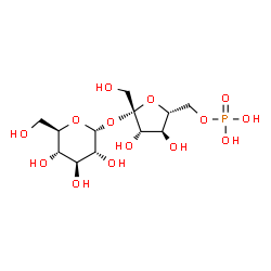 ChemSpider 2D Image | SUCROSE 6'-PHOSPHATE | C12H23O14P