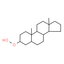 ChemSpider 2D Image | Androstan-3-yl hydroperoxide | C19H32O2