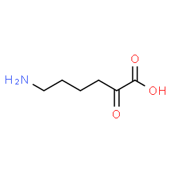 ChemSpider 2D Image | 2-Keto-6-aminocaproic acid | C6H11NO3