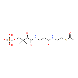 ChemSpider 2D Image | S-[2-({N-[(2R)-2-Hydroxy-3,3-dimethyl-4-(phosphonooxy)butanoyl]-beta-alanyl}amino)ethyl] ethanethioate | C13H25N2O8PS