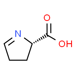 ChemSpider 2D Image | (S)-1-pyrroline-5-carboxylic acid | C5H7NO2