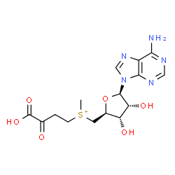 ChemSpider 2D Image | {[(2S,3S,4R,5R)-5-(6-Amino-9H-purin-9-yl)-3,4-dihydroxytetrahydro-2-furanyl]methyl}(3-carboxy-3-oxopropyl)methylsulfonium | C15H20N5O6S