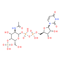 ChemSpider 2D Image | (2S,3R,4R,5R,6R)-3-Acetamido-4-hydroxy-6-(hydroxymethyl)-5-(sulfooxy)tetrahydro-2H-pyran-2-yl [(2R,3S,4R,5R)-5-(2,4-dioxo-3,4-dihydro-1(2H)-pyrimidinyl)-3,4-dihydroxytetrahydro-2-furanyl]methyl dihydr
ogen diphosphate | C17H27N3O20P2S