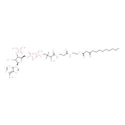 ChemSpider 2D Image | S-{1-[(2R,3S,4R,5R)-5-(6-Amino-9H-purin-9-yl)-4-hydroxy-3-(phosphonooxy)tetrahydro-2-furanyl]-3,5,9-trihydroxy-8,8-dimethyl-3,5-dioxido-10,14-dioxo-2,4,6-trioxa-11,15-diaza-3lambda~5~,5lambda~5~-dipho
sphaheptadecan-17-yl} 3-oxododecanethioate | C33H56N7O18P3S
