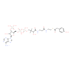ChemSpider 2D Image | S-{1-[(2R,3S,4R,5R)-5-(6-Amino-9H-purin-9-yl)-4-hydroxy-3-(phosphonooxy)tetrahydro-2-furanyl]-3,5,9-trihydroxy-8,8-dimethyl-3,5-dioxido-10,14-dioxo-2,4,6-trioxa-11,15-diaza-3lambda~5~,5lambda~5~-dipho
sphaheptadecan-17-yl} (4-hydroxyphenyl)ethanethioate | C29H42N7O18P3S