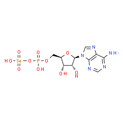 ChemSpider 2D Image | adenylyl selenate | C10H14N5O10PSe