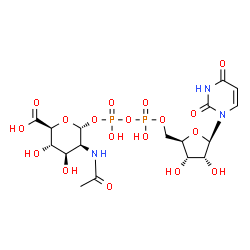 ChemSpider 2D Image | UDP-N-acetyl-alpha-D-mannosaminouronic acid | C17H25N3O18P2