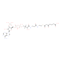 ChemSpider 2D Image | 1-[(2R,3S,4R,5R)-5-(6-Amino-9H-purin-9-yl)-4-hydroxy-3-(phosphonooxy)tetrahydro-2-furanyl]-3,5,9-trihydroxy-8,8-dimethyl-10,14,19,21-tetraoxo-2,4,6-trioxa-18-thia-11,15-diaza-3,5-diphosphapentacosan-2
5-oic acid 3,5-dioxide | C28H44N7O20P3S