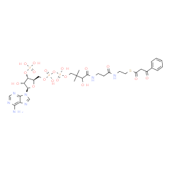 ChemSpider 2D Image | S-{1-[(2R,3S,4R,5R)-5-(6-Amino-9H-purin-9-yl)-4-hydroxy-3-(phosphonooxy)tetrahydro-2-furanyl]-3,5,9-trihydroxy-8,8-dimethyl-3,5-dioxido-10,14-dioxo-2,4,6-trioxa-11,15-diaza-3lambda~5~,5lambda~5~-dipho
sphaheptadecan-17-yl} 3-oxo-3-phenylpropanethioate | C30H42N7O18P3S