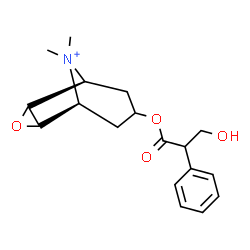 ChemSpider 2D Image | (1S,5S)-7-[(3-Hydroxy-2-phenylpropanoyl)oxy]-9,9-dimethyl-3-oxa-9-azoniatricyclo[3.3.1.0~2,4~]nonane | C18H24NO4