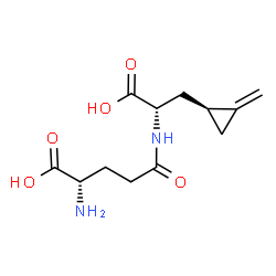 ChemSpider 2D Image | (2S,4S)-hypoglycin B | C12H18N2O5