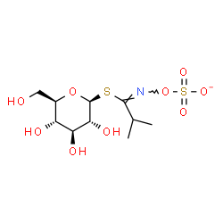 ChemSpider 2D Image | 1-S-[(1E)-2-Methyl-N-(sulfonatooxy)propanimidoyl]-1-thio-beta-D-glucopyranose | C10H18NO9S2