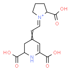 ChemSpider 2D Image | (1E)-2-Carboxy-1-[2-(2,6-dicarboxy-2,3-dihydro-4(1H)-pyridinylidene)ethylidene]pyrrolidinium | C14H17N2O6