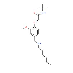 ChemSpider 2D Image | 2-{4-[(Heptylamino)methyl]-2-methoxyphenoxy}-N-(2-methyl-2-propanyl)acetamide | C21H36N2O3