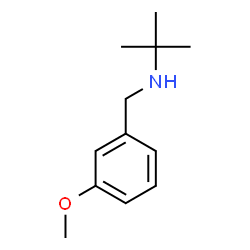 ChemSpider 2D Image | N-(3-Methoxybenzyl)-2-methyl-2-propanamine | C12H19NO