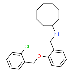 ChemSpider 2D Image | N-{2-[(2-Chlorobenzyl)oxy]benzyl}cyclooctanamine | C22H28ClNO