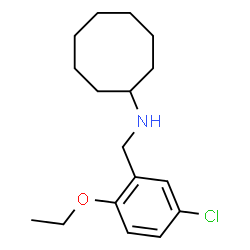 ChemSpider 2D Image | N-(5-Chloro-2-ethoxybenzyl)cyclooctanamine | C17H26ClNO