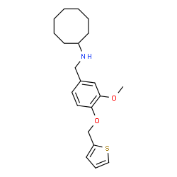 ChemSpider 2D Image | N-[3-Methoxy-4-(2-thienylmethoxy)benzyl]cyclooctanamine | C21H29NO2S