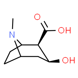 ChemSpider 2D Image | (2R,3S)-3-Hydroxy-8-methyl-8-azabicyclo[3.2.1]octane-2-carboxylic acid | C9H15NO3