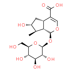 ChemSpider 2D Image | 7-Epiloganic acid | C16H24O10