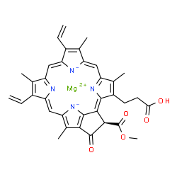 ChemSpider 2D Image | Magnesium (21R)-3-(2-carboxyethyl)-21-(methoxycarbonyl)-4,8,13,18-tetramethyl-20-oxo-9,14-divinyl-3,4,23,25-tetradehydrophorbine-23,25-diide | C35H30MgN4O5