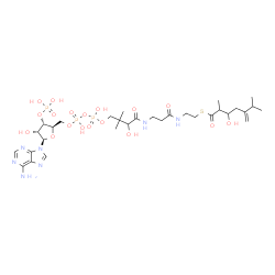 ChemSpider 2D Image | S-{1-[(2R,3S,4R,5R)-5-(6-Amino-9H-purin-9-yl)-4-hydroxy-3-(phosphonooxy)tetrahydro-2-furanyl]-3,5,9-trihydroxy-8,8-dimethyl-3,5-dioxido-10,14-dioxo-2,4,6-trioxa-11,15-diaza-3lambda~5~,5lambda~5~-dipho
sphaheptadecan-17-yl} 3-hydroxy-2,6-dimethyl-5-methyleneheptanethioate | C31H52N7O18P3S