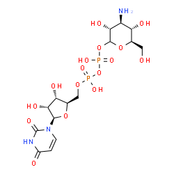 ChemSpider 2D Image | (3R,4S,5S,6R)-4-Amino-3,5-dihydroxy-6-(hydroxymethyl)tetrahydro-2H-pyran-2-yl [(2R,3S,4R,5R)-5-(2,4-dioxo-3,4-dihydro-1(2H)-pyrimidinyl)-3,4-dihydroxytetrahydro-2-furanyl]methyl dihydrogen diphosphate | C15H25N3O16P2