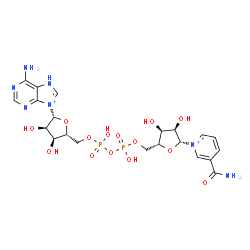 ChemSpider 2D Image | [(2R,3S,4R,5R)-5-(6-amino-7H-purin-9-ium-9-yl)-3,4-dihydroxy-tetrahydrofuran-2-yl]methyl [[(2R,3S,4R,5R)-5-(3-carbamoylpyridin-1-ium-1-yl)-3,4-dihydroxy-tetrahydrofuran-2-yl]methoxy-hydroxy-phosphoryl] hydrogen phosphate | C21H29N7O14P2