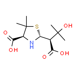 ChemSpider 2D Image | 2-(1-CARBOXY-2-HYDROXY-2-METHYL-PROPYL)-5,5-DIMETHYL-THIAZOLIDINE-4-CARBOXYLIC ACID | C11H19NO5S