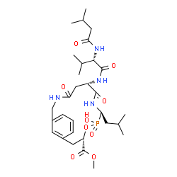 ChemSpider 2D Image | methyl cyclo[(2s)-2-[[(1r)-1-(n-(l-n-(3-methylbutanoyl)valyl-l-aspartyl)amino)-3-methylbutyl]hydroxyphosphinyloxy]-3-(3-aminomethyl)phenylpropanoate | C30H47N4O9P