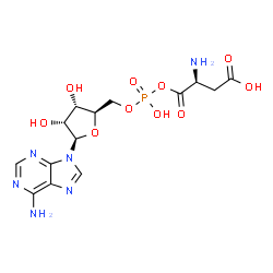 ChemSpider 2D Image | 5'-O-[{[(2S)-2-Amino-3-carboxypropanoyl]oxy}(hydroxy)phosphoryl]adenosine | C14H19N6O10P