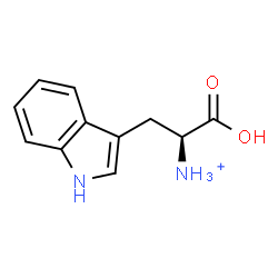 ChemSpider 2D Image | (1S)-1-Carboxy-2-(1H-indol-3-yl)ethanaminium | C11H13N2O2