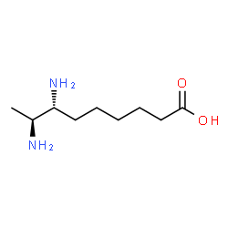 ChemSpider 2D Image | (7R,8S)-7,8-Diaminononanoic acid | C9H20N2O2