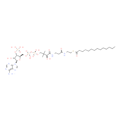 ChemSpider 2D Image | S-{(3R,5S,9S)-1-[(2R,3S,4R,5R)-5-(6-Amino-9H-purin-9-yl)-4-hydroxy-3-(phosphonooxy)tetrahydro-2-furanyl]-3,5,9-trihydroxy-8,8-dimethyl-3,5-dioxido-10,14-dioxo-2,4,6-trioxa-11,15-diaza-3lambda~5~,5lamb
da~5~-diphosphaheptadecan-17-yl} tetradecanethioate | C35H62N7O17P3S